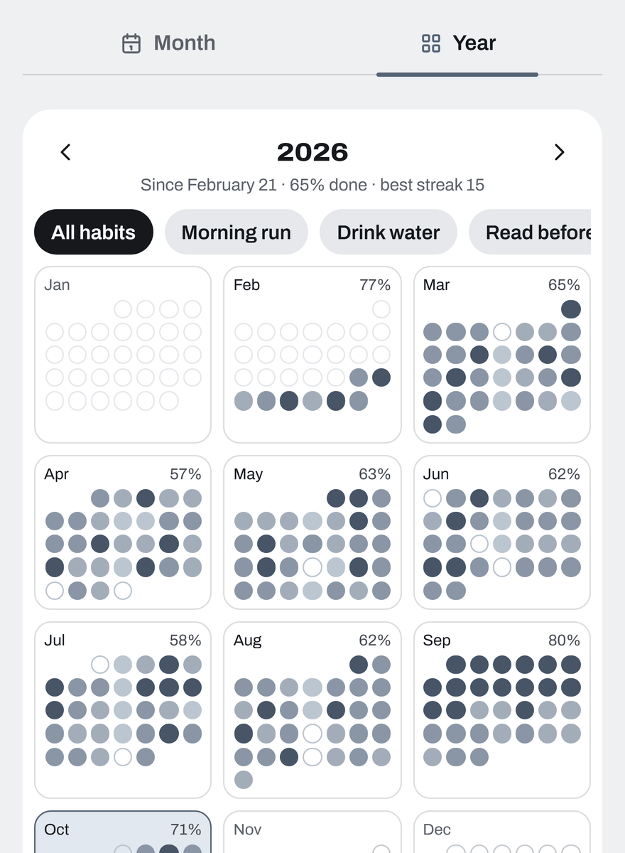 History's Year view: twelve months of dots, each day shaded by how much of it was done.